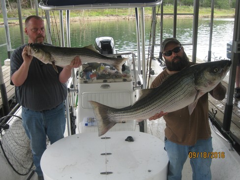 Nice Striped Bass